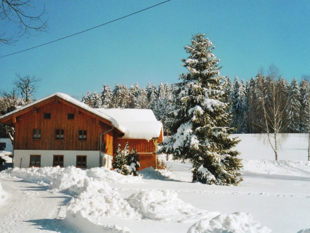 Lovely Holiday Home In Viechtach Near The Forest Экстерьер фото