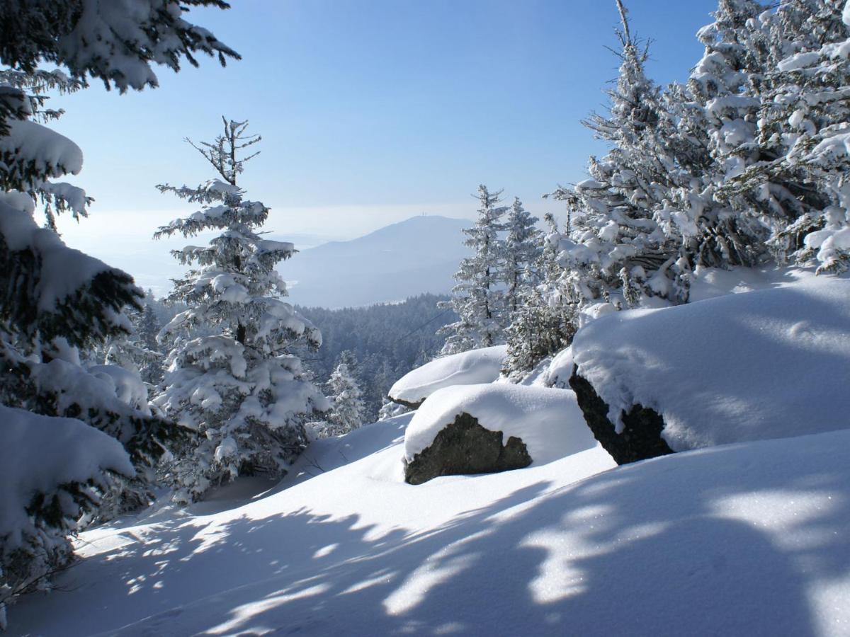 Lovely Holiday Home In Viechtach Near The Forest Экстерьер фото