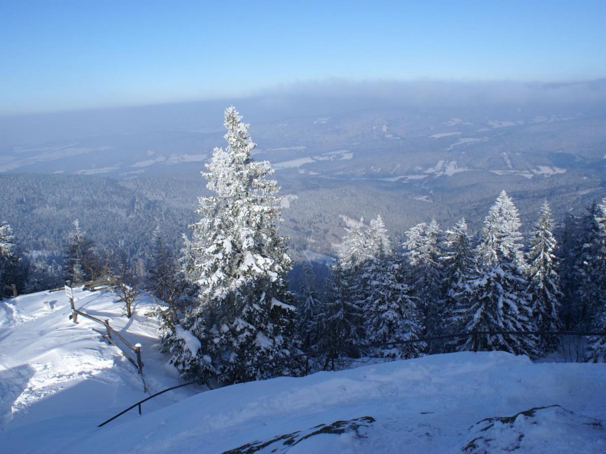 Lovely Holiday Home In Viechtach Near The Forest Экстерьер фото