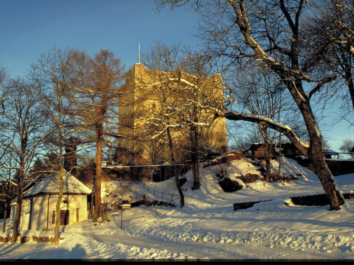 Lovely Holiday Home In Viechtach Near The Forest Экстерьер фото